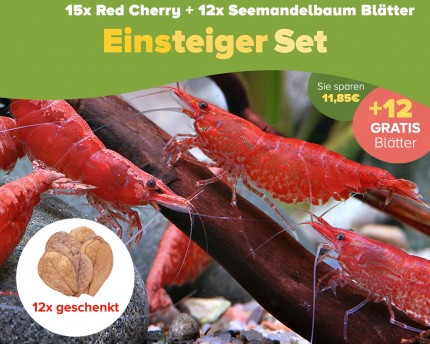 15 pcs Red Cherry shrimp + 2x Nano Bungalow