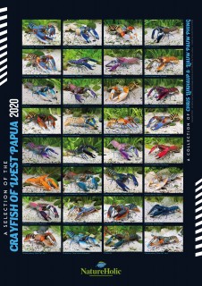 Crayfish of West Papua 2020 - Poster by Chris Lukhaup