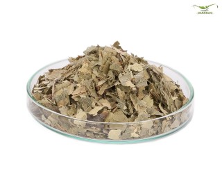 Garnelio - Haselnuss Blätter - 10 g