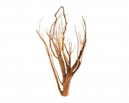 Filigree bog pine root - size XS - XL